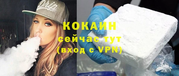 прущие грибы Абинск