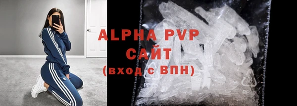 прущие грибы Абинск