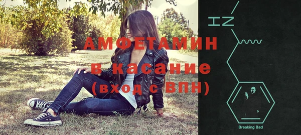 прущие грибы Абинск