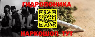 2c-b Заводоуковск