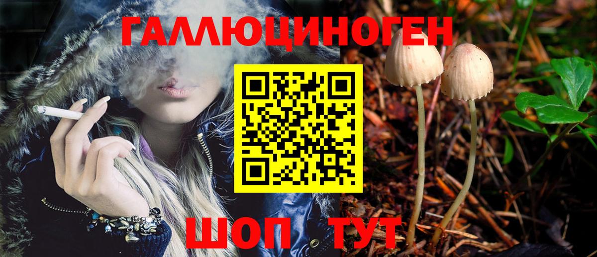 Галлюциногенные грибы Psilocybe  Псилоцибиновые грибы Magic Shrooms  Вход с VPN  Норильск 